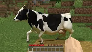 oatmeal