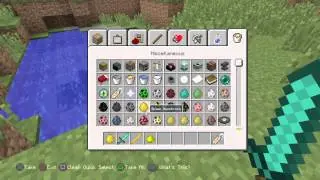 Minecraft Glicthes I Like