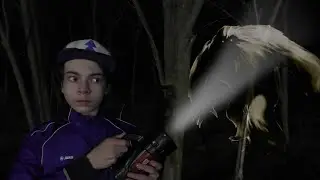 В ПОИСКАХ БИГФУТА! 