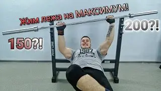 ЖИМ ЛЁЖА НА МАКСИМУМ. Сколько жмет этот крепыш?!