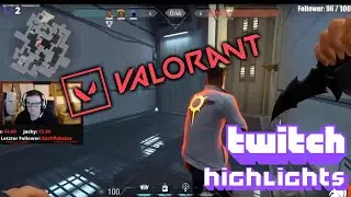 Twitch Highlights #3 | Valorant | Fidelis Clan (GER)
