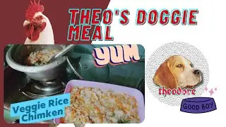 Cooking for my Beagle, Theo (Tips for preparing dog meal) #dogrecipes #dogmeal