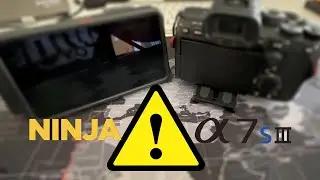 Fixed! Sony a7siii 3 firmware update issue with RAW output