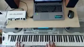 Михаил Круг - Жиган лимон. На синтезаторе Casio WK-3300