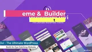 Divi Website design / Divi theme and divi builder
