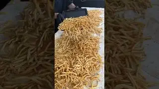 100 Layer of Tacos !
