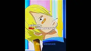 Mission: Kill Vinsmoke Sanji