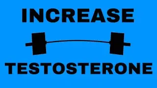 How You Should Weight Train to Increase Testosterone