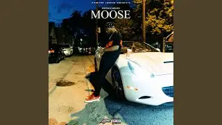 MOOSE