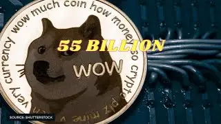 Doge surges through the markets