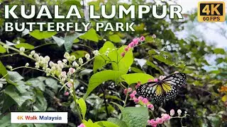 Malaysia 🇲🇾 Kuala Lumpur Butterfly Park 🌺🦋🐛🌿🐟🐢 - November 2023 - 4K 60fps HDR Walking Tour