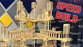 8000 KAPLA planks in ONE DAY: The Tech Tower