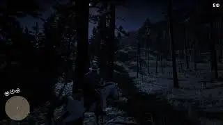 Red Dead Redemption 2 - Weapons Expert 10