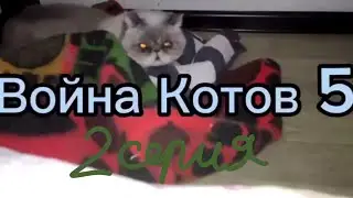 Война котов 5 l 2 серия
