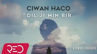 Ciwan Haco - Dil Ji Min Bir [Lyric Video]