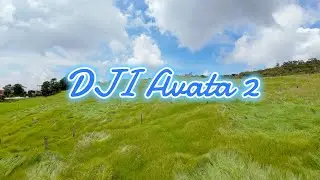 DJI Avata 2 Long Range Mountain Flight
