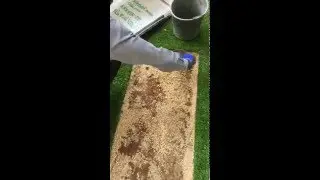 דשא סינטטי ירוק ישראלי בשילוב אבני מדרך בזלת 03-7655555