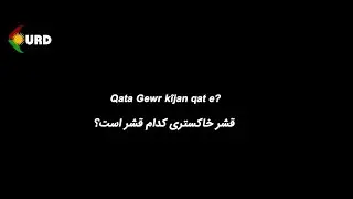 قشر خاکستری کدام قشر است؟ 1