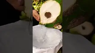 Do you like coconut water? #satisfyingvideos#satisfyingposts#shorts #trending #oddlysatisfyingvideo