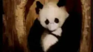 Algumas crianças gostariam que seus pais fossem animais