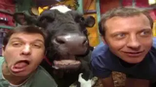 🐘 Zoboomafoo with the Kratt Brothers! HD | Full Episodes Compilation 🐘