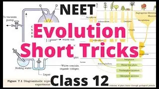 Evolution Short Tricks|Ncert Biology For NEET|AIIMS|JIPMER|Class 12|Biology Bytes