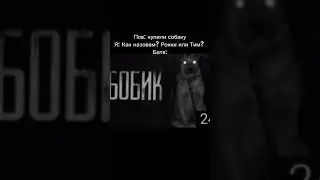 Боообик😱😱😱🥶🥶