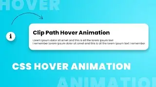 Awesome Clip-Path Hover Effects CSS only | CSS Hover Effects