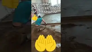 ШУ МУСОФИР ПАТПИСКА ЛАЙКА АРЗИМАЙДИМИ