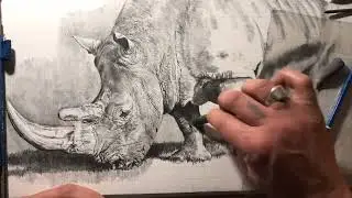 Come disegnare un rinoceronte parte 11