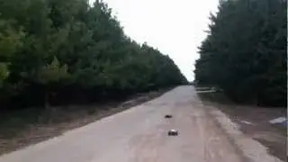 Losi ten t speed runs