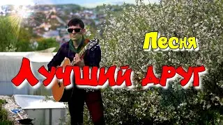 🎸 Песня про лучшего друга под гитару