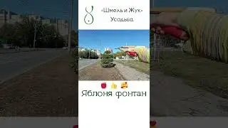 Яблоня обрезка в интересную форму