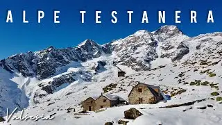 L'alpe con vista più bella sul MONTEROSA, sorpresa al rientro - VALSESIA