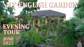 An Evening tour with Me - My English Garden - June 2022