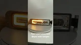 10 июля 2024 г.