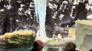 Seaworld Orlando