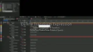 AE:Delete Transform Expression