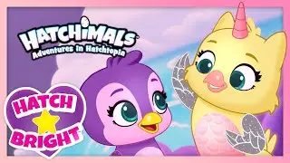 Hatchimals Hatch Bright Episodes 11 to 16 | Adventures in Hatchtopia Compilation | Cartoon for Kids