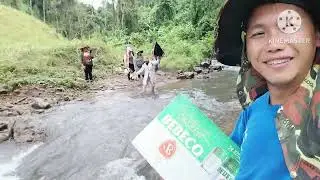 mus lam hlwb noj ntses lom zem kawg