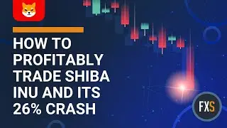 How to profitably trade Shiba Inu price and its 26% crash