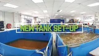 Setting up new HDPE Tanks for Indoor Shrimp Farming with Biofloc Technology