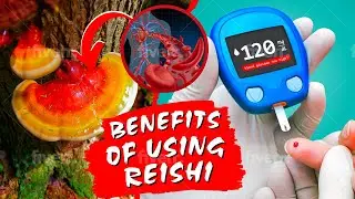 Reishi Mushroom | 5 Health Benefits Explained | Just Mushrooms