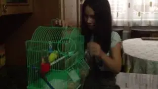 Короче говоря,мы решили поиграть в фифу