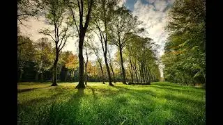 Soothing Celtic Music for Stress Relief and Relaxation | Beautiful Piano Music for Dreaming