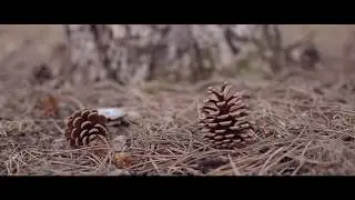 Cinematic Film Look on a Nikon D5100 DSLR Camera