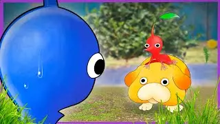 The Face (Pikmin Animation)