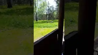 Пещера караульная, май 2017