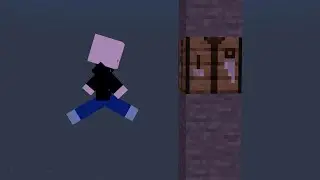 Tool Assisted Flexing | TAS | Minecraft Bedrock