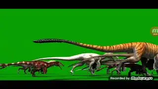 Raptor running green screen